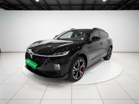 岚图汽车 岚图知音 2024款 四驱全球版