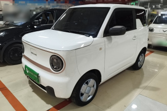 吉利银河 2024款 熊猫mini 200km 耐力熊