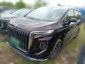 红旗HQ9 PHEV 2024款 2.0T 四驱商务版