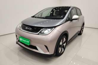 比亚迪 海豚 2021款 401km 骑士版