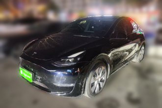 特斯拉 Model Y 2021款 标准续航后驱版