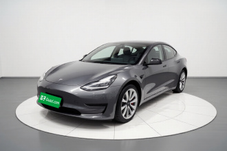 特斯拉 Model 3 2020款 改款 标准续航后驱升级版