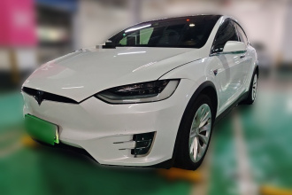 特斯拉 Model X 2019款 长续航版