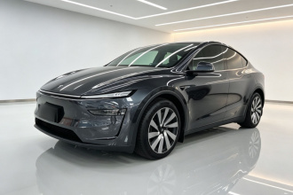 特斯拉 Model Y 2025款 改款 长续航全轮驱动版