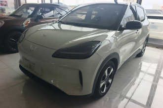 五菱汽车 五菱缤果PLUS 2024款 330km 五座版
