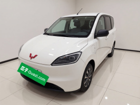 五菱汽车 五菱宏光新能源 2024款 纯电版 300KM 实用型