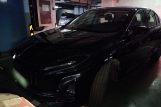 红旗E-QM5 2022款 431km 充电乐享版