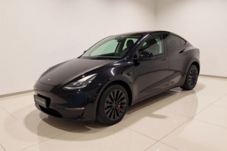 特斯拉 Model Y 2021款 标准续航后驱版