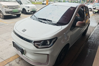 思皓 花仙子 2021款 200km 经典型