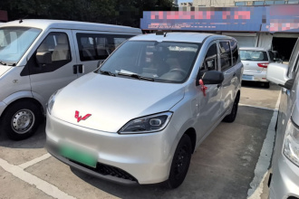 五菱汽车 五菱宏光新能源 2024款 纯电版 300KM 标准型