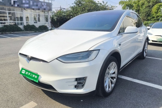 特斯拉 Model X 2019款 长续航版
