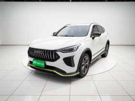 哈弗赤兔 2022款 劲享版 1.5T 黄铜兔