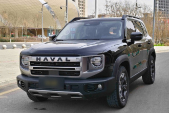 哈弗大狗 2024款 2.0T DCT中华田园犬版