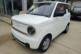 吉利银河 2024款 熊猫mini 200km 耐力熊