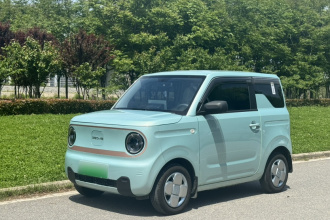 吉利银河 2024款 熊猫mini 200km 耐力熊