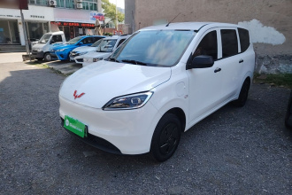 五菱汽车 五菱宏光新能源 2024款 纯电版 300KM 标准型