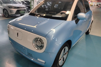 欧拉黑猫 2019款 301km 标准版