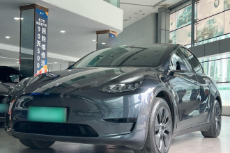特斯拉 Model Y 2024款 后轮驱动版