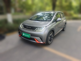 比亚迪 海豚 2021款 405km 时尚版