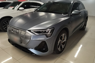 奥迪e-tron 2021款 50 quattro 臻选型