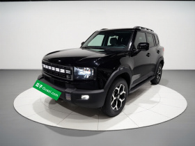 捷途山海T1 2024款 150km 向海