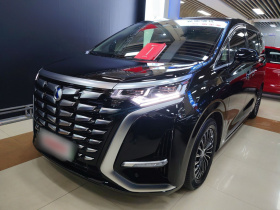 腾势D9 2024款 DM-i 1050 尊享型