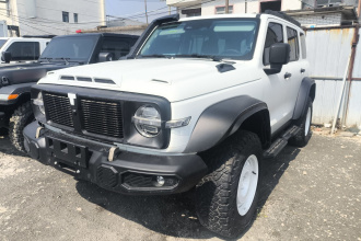 坦克300 2023款 2.0T 铁骑02