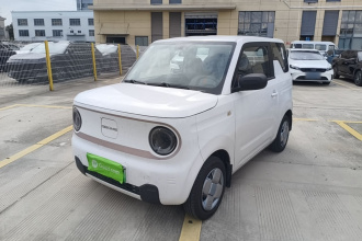 吉利银河 2023款 熊猫mini 200km 耐力熊
