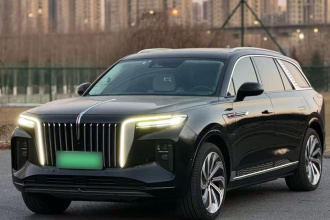 红旗E-HS9 2021款 510km 旗领版 四座