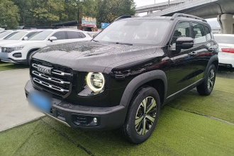 哈弗大狗 2021款 1.5T DCT两驱拉布拉多版
