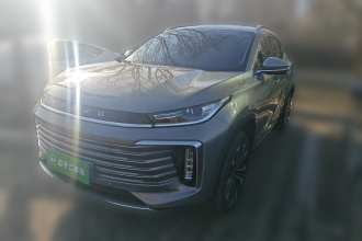 星途凌云 2024款 300T 两驱星耀版