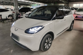 五菱汽车 五菱缤果 2023款 410km 灵犀尊享款