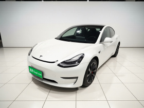 特斯拉 Model 3(进口) 2019款 长续航全轮驱动版