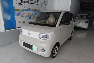 五菱汽车 宏光MINIEV 2024款 第三代 215km 青春版