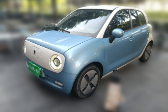 欧拉黑猫 2021款 301km 基础型