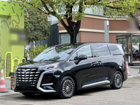 腾势D9 2024款 DM-i 1050 尊享型