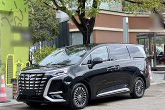 腾势D9 2024款 DM-i 1050 尊享型