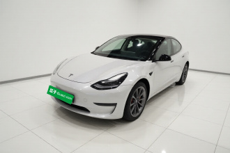 特斯拉 Model 3 2020款 标准续航后驱升级版