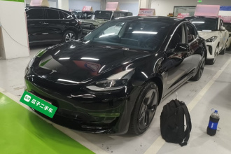特斯拉 Model 3 2020款 长续航后轮驱动版