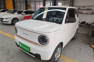 吉利银河 2024款 熊猫mini 200km 耐力熊