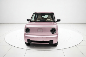 吉利银河 2023款 熊猫mini 200km 耐力熊