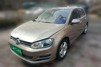 大众 高尔夫 2016款 230TSI 自动舒适型