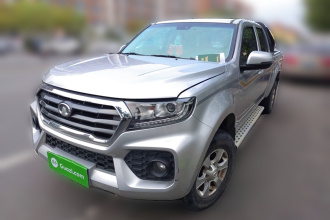 长城 风骏7 2019款 2.0T柴油四驱精英型国VI大双GW4D20M