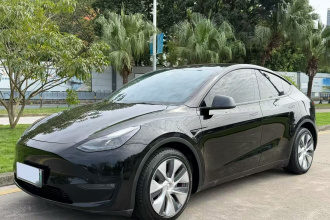 特斯拉 Model Y 2021款 长续航全轮驱动版 3D7