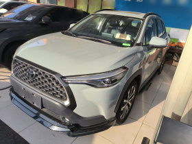 丰田 卡罗拉锐放 2022款 2.0L 旗舰版