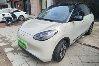 五菱汽车 五菱缤果 2024款 333km 灵犀互联款