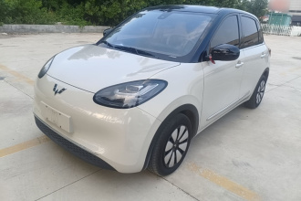 五菱汽车 五菱缤果 2023款 203km 舒享款