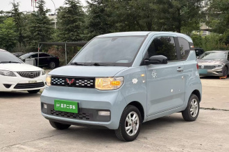 五菱汽车 宏光MINIEV 2020款 自在款 磷酸铁锂