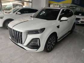 红旗HS5 2023款 2.0T 四驱旗享Pro版