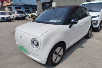 欧拉黑猫 2021款 301km 基础型